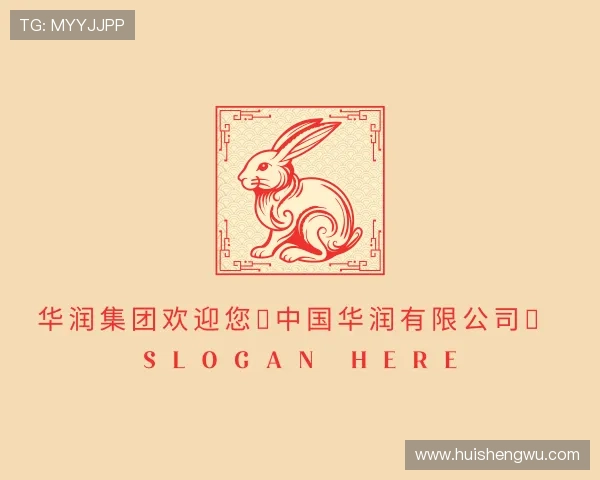 解读华润